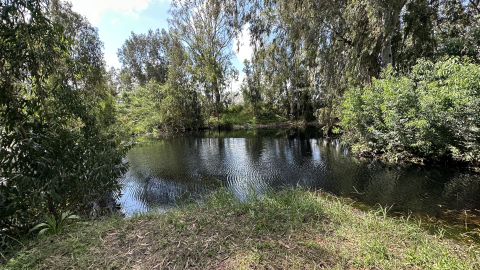IMG_2700.JPG