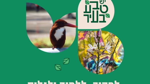 תל אביב.jpeg