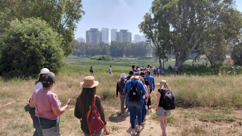 הליכה אל שלולית החורף.jpg